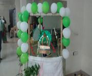 Janamashtami Utsav 2014