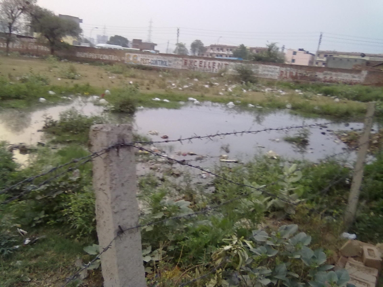 B Block Sewage Overflow