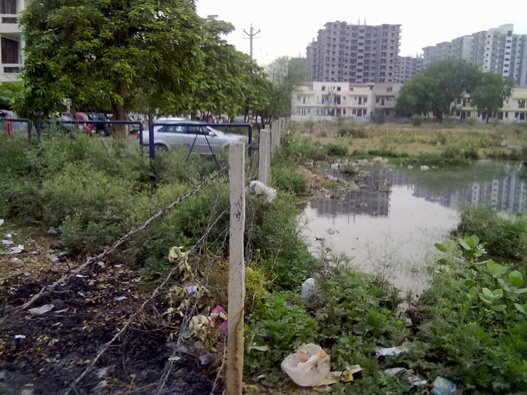 B Block Sewage Overflow