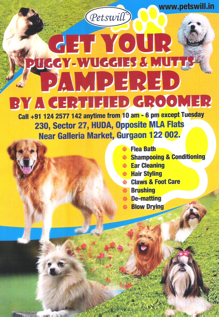Petswill - place to groom your pets Petswill - place to groom your pets